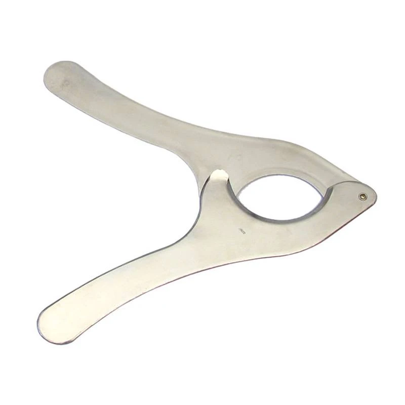 Coupe Oursin En Inox