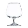 Verres à Cognac Trempés X
